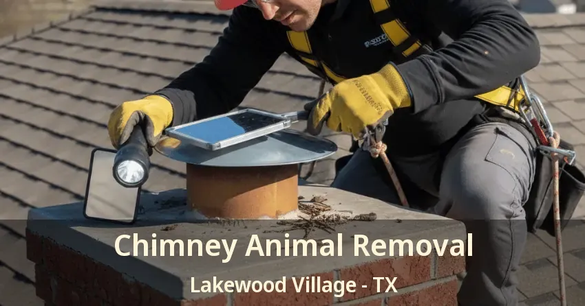 Chimney Animal Removal Lakewood Village - TX