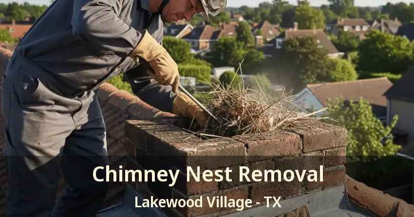 Chimney Nest Removal Lakewood Village - TX
