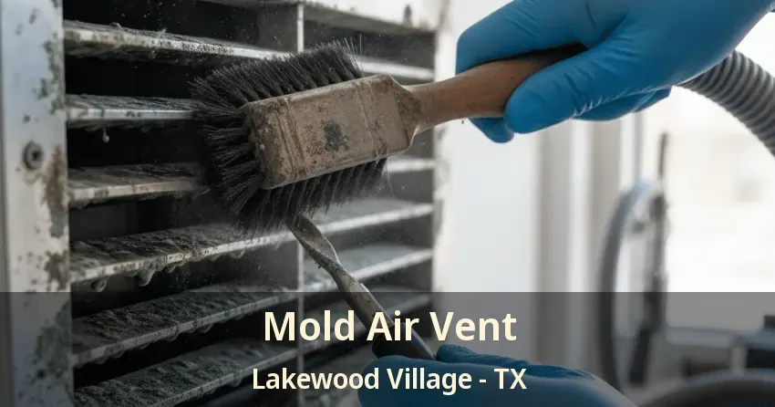 Mold Air Vent Lakewood Village - TX