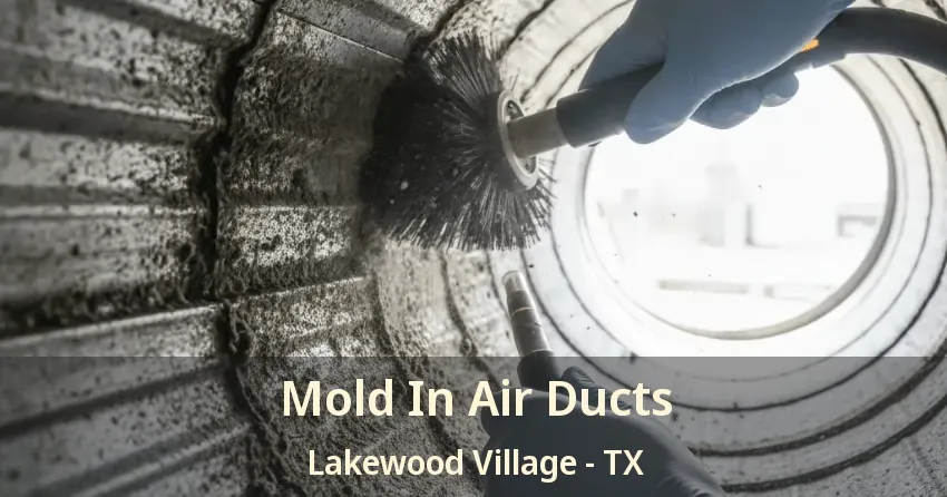 Mold In Air Ducts Lakewood Village - TX