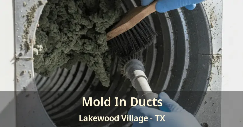 Mold In Ducts Lakewood Village - TX