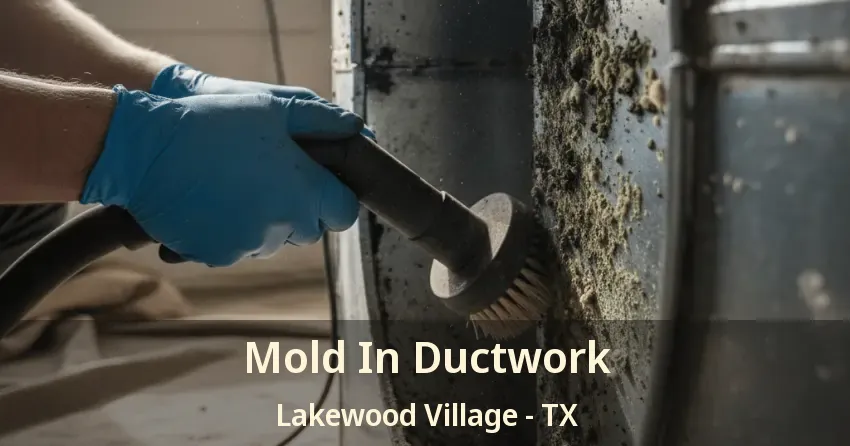 Mold In Ductwork Lakewood Village - TX