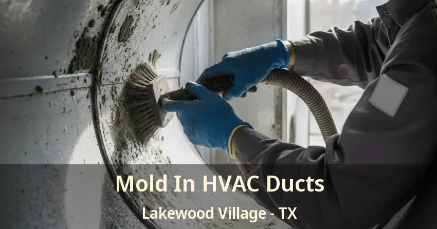 Mold In HVAC Ducts Lakewood Village - TX