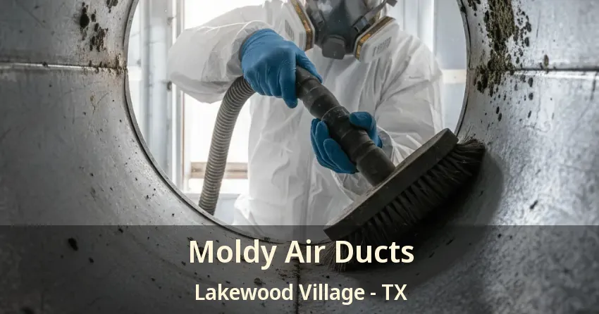 Moldy Air Ducts Lakewood Village - TX